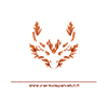 Elämyksiä Turun saaristossa!